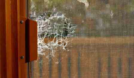 Close-up macro shot showing torn screen mesh fibers and UV damage